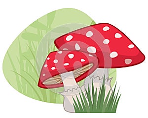 Red Mushrooms with White Spots with Grass Patch and Green Natural Background