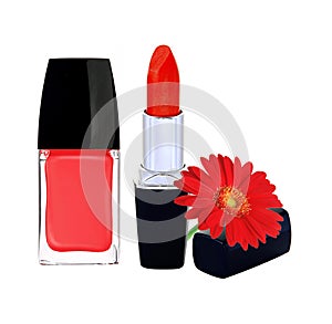 Red nail polish, lipstick and red gerbera flower on white