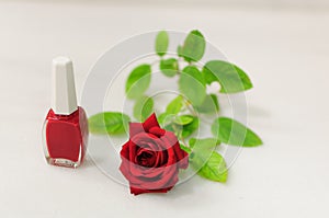 Red nail polish and red rose in white marble