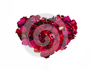 Red natura rose petals heart on white background