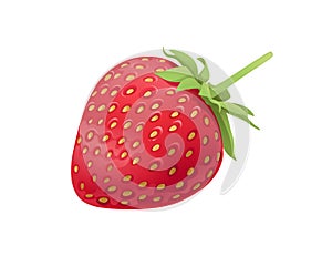 Red natural fresh strawberry sweet tasty whole berry vector illustration isolated on white background