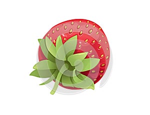 Red natural fresh strawberry sweet tasty whole berry vector illustration isolated on white background
