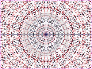 Red and navy blue lines from the center to the periphery and in a circles on a white background