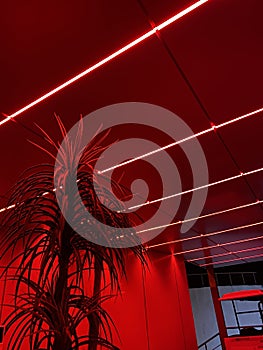 Red neon lighting glowing at club corridor