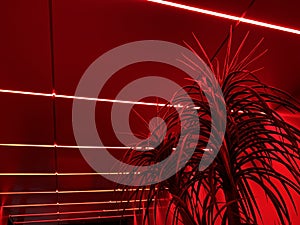 Red neon lighting glowing at club corridor