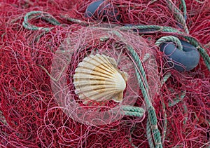 Red nets with shell