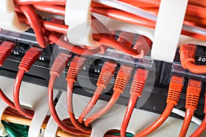 Red network cables connected to switch