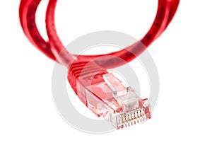 Red network UTP cable with RJ45 connector isolated on white.