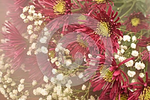 Red New England Aster bouquet