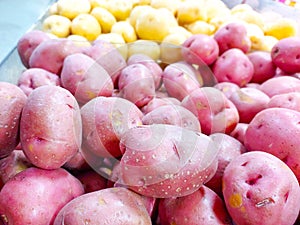 Red norland potatoes and yellow potatoes on shelf in grocery store photo