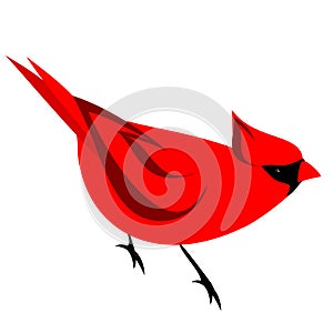 Red Northern Cardinal Bird Clipart