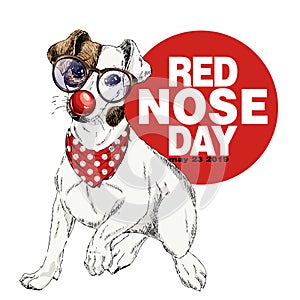 Red nose day poster. Vector hand drawn dog portrait. Jack Russel terrier wearing glasses, clown nose and bandana