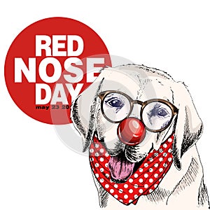 Red nose day poster. Vector hand drawn dog portrait. Labrador retrier wearing glasses, clown nose and bandana. American