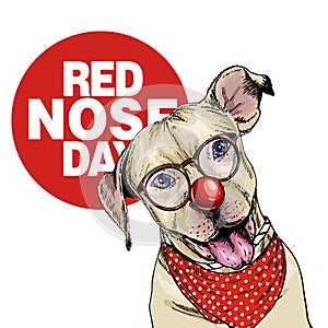 Red nose day poster. Vector hand drawn dog portrait. pit bull terrier wearing glasses, clown nose and bandana. American