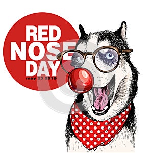 Red nose day poster. Vector hand drawn dog portrait. Siberian husky wearing glasses, clown nose and bandana. American