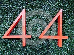 red number 44 on wall with plant with green leaves