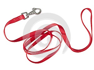 Red nylon dog lead or leash isolated over white