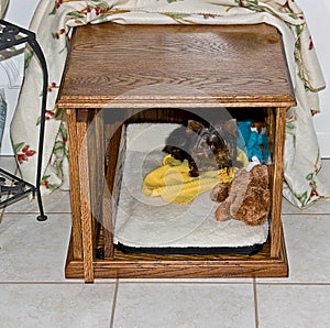 Red Oak Made Dog Kennel for Small Dogs