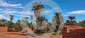 The red oasis Timimoun in Algeria