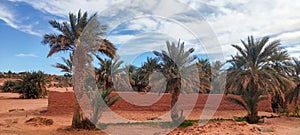 The red oasis Timimoun in Algeria