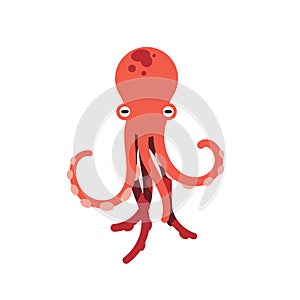 Red octopus isolated illustration on white background. Cute octopus illustration. Marine life and animals concept. Cute