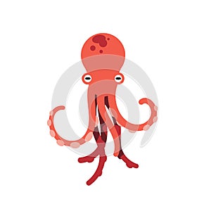 Red octopus isolated vector illustration on white background. Cute octopus vector. Marine life and animals concept. Cute
