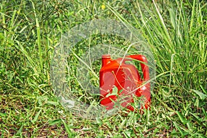 Red oil gallon with the green leaf background