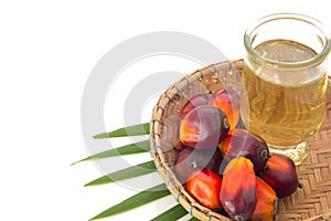 Red Oil Palm seed in a basket and leaf with cooking palm oil in glass on white background