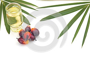 Red Oil Palm seed and leaf with cooking palm oil in glass on white background