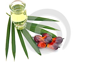 Red Oil Palm seed and leaf with cooking palm oil in glass on white background