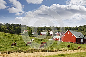 Red old farm in a rural country-side