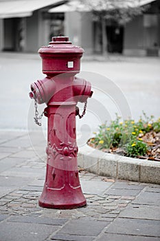 Red old fire hydrant in street