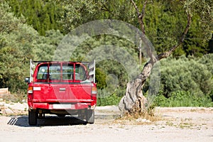 Red, old pick-up truck vehicle and a solitare olive tree stands alone in Greece