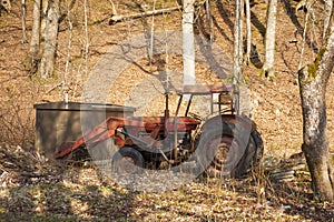 Red old tractor abandoned in a forest