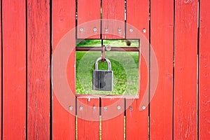 Red, old wooden fence texture background. Hole with hanging padlock with view on green, lush grass in the garden
