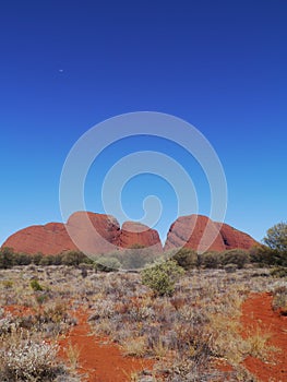 The red Olgas photo