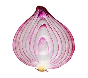 Red onion photo