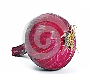 Red onion