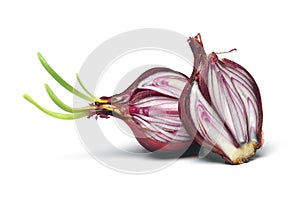 Red onion photo