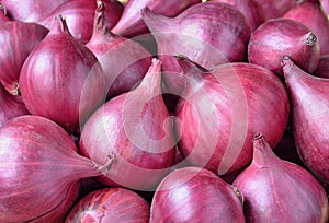 Red onion