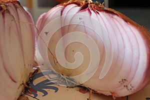 Red onion from Acquaviva delle Fonti
