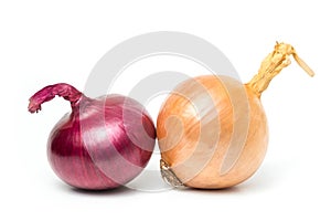 Red onion Allium cepa fresh isolated Is a plant that uses the roots or leaves and many nutrients on white background and