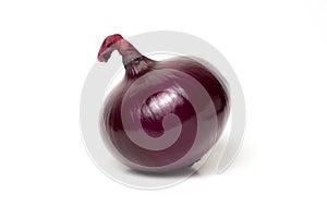 Red onion Allium cepa fresh isolated Is a plant that uses the roots or leaves and many nutrients on white background and