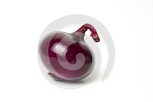 Red onion Allium cepa fresh isolated Is a plant that uses the roots or leaves and many nutrients on white background and