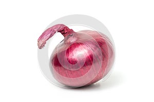 Red onion Allium cepa fresh isolated Is a plant that uses the roots or leaves and many nutrients on white background and