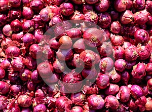 Red onion. Background and texture