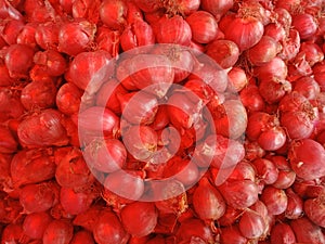 Red Onion or bawang merah at the market photo
