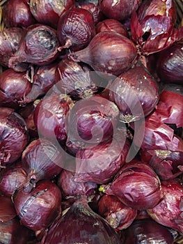 Red onion in box at grocery food store.Buy natural ingredients for healthy and tasty eating.Fresh vegetables at supermarket shop.