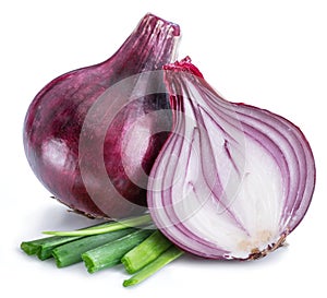 Red onion bulb and cross sections of onion on white background