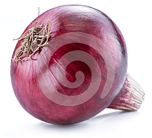 Red onion bulb on the white background. Macro shot.